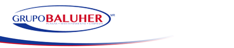 BALUHER Mesa de Soluciones